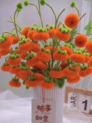 柿柿如意扭扭棒材料包#手工diy #爱手工爱生活 #手工花制作 #柿柿如意扭扭棒