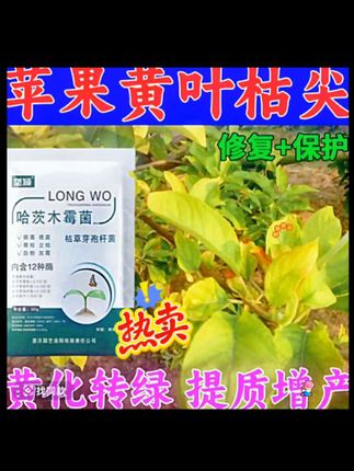 苹果树黄叶枯尖专用焦尖干枯脱落病毒病小叶病卷叶病轮纹病叶面肥#助农