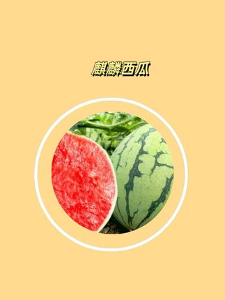 麒麟西瓜#麒麟西瓜 #麒麟西瓜采摘 #新鲜西瓜 #新鲜西瓜口感特别好 #在抖音上入手的好东西