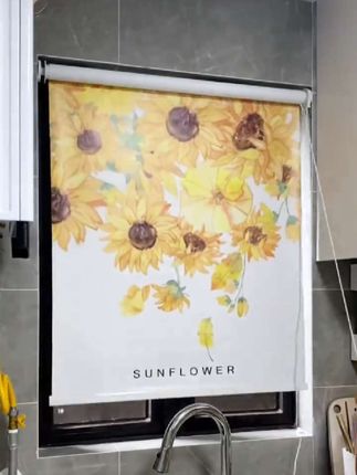 #家里有窗户的一定要试试这个免打孔卷帘,以前那种老式窗帘不仅占地方,还很难清理,而这种新型卷帘就不一样了,它是免打孔的设计,安装起来非常简单,而且还能自由选择遮光程度,完全满足你的各种需求。有了它之后,再也不用担心隐私问题了,赶紧点击下方链接下单吧!