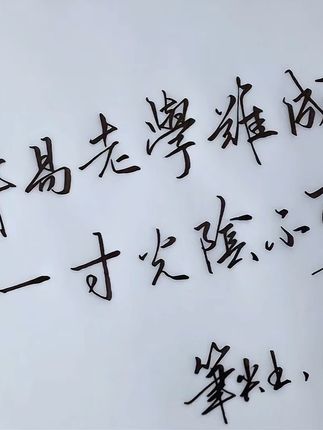 用美工笔写字好像给字开了美颜!#众需钢笔