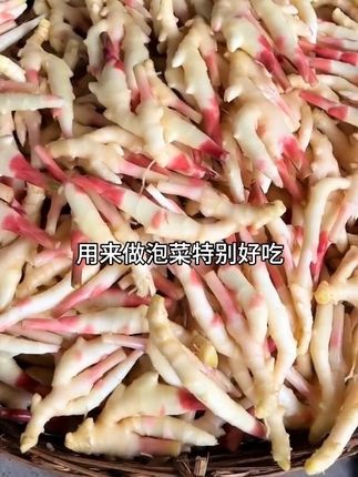 四川自贡沙地仔姜,姜香味浓郁,现扯现发#仔姜