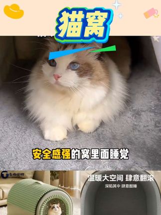 #好物 猫窝冬天保暖封闭式安全感冬季猫屋超大睡窝猫咪床冬日加厚房子窝 #好物推荐#好物分享#好物优选#好物
