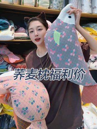高品质荞麦枕 带枕套 特价包邮 喜欢⬇️下方选款式