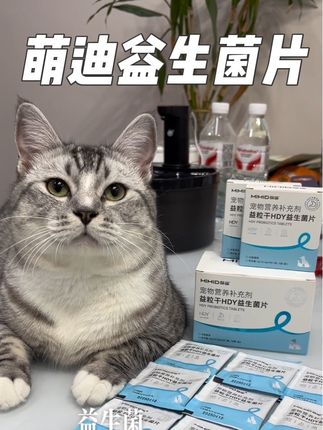萌迪宠物益生菌片🥰🥰~~猫咪,口臭,拉稀,软便就吃萌迪益生菌片~~调节肠道菌群~~让猫咪恢复肠道健康~~  #萌迪 #萌迪益生菌 #益生菌片 #宠物益生菌片 #益生菌片推荐 @萌迪宠物用品