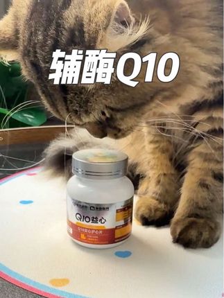 如果你家猫出现以上情况,就要给他吃辅酶扣10了#猫咪 #猫咪呼吸困难 #老年猫咪 #布偶猫