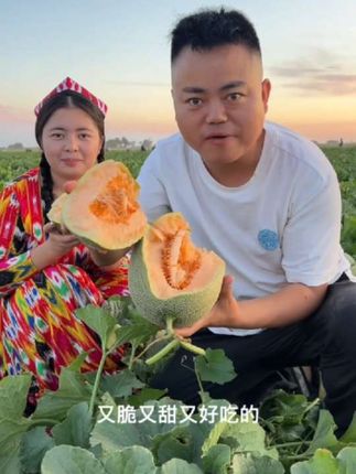 #新疆哈密瓜#优质农产品 #口感特别好