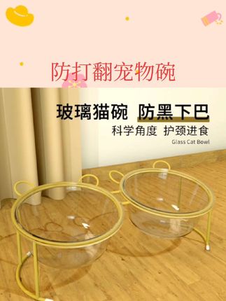 【宠物护颈碗】玻璃猫碗陶瓷双碗狗碗防打翻猫猫食盆喝水一体水碗#玻璃猫碗 #宠物双碗 #防打翻宠物碗