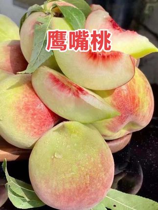 鹰嘴桃个大饱满、入口鲜嫩爽口、果肉细腻、味道鲜美、汁水充沛、香甜可口,独特的口感,吃出满满的幸福感!#桃 #新鲜应季水果 #好吃到停不下来 #吃货