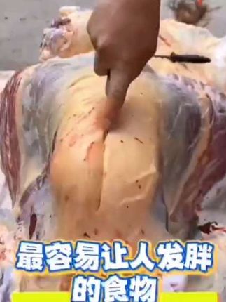 #李羲承符神颜 #旺仔小乔 #赵露思 #张予曦