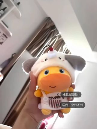 2025.10.10我拥有了属于自己的水豚噜噜#水豚噜噜 #玩偶 #挂件