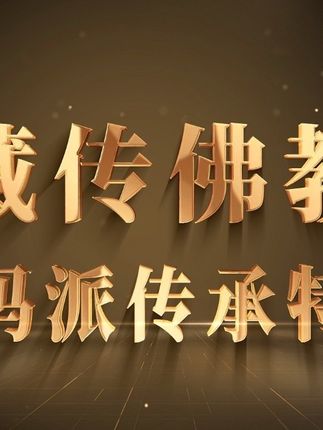 宁玛派的传承特点 #万万想不到 #历史 #宁玛派 #藏传 #藏传佛教文化