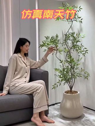 南天竹仿真植物盆景落地摆件仿生绿植大型假盆栽装饰仿真绿 #绿植盆栽 #绿植 #花卉绿植 #家居软装搭配 #室内绿植