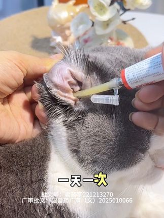 猫咪耳朵反复黑黑油油的,那就要用这个复方制霉菌素软膏#猫咪耳螨 #马拉色菌 #新手养猫