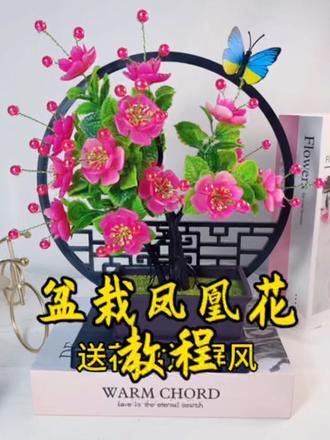盆栽凤凰花教程来啦#拍同款 #手工diy