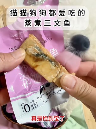 一打开袋子毛孩子就迫不及待的要吃了,这个高温蒸煮的三文鱼.天气越来越热了,毛孩子没有胃口的,食欲不振不好的,你可以给他试试这个高温蒸煮的三文鱼。#美味零食 #宠物食品 #萌宠好物 #自用好物分享