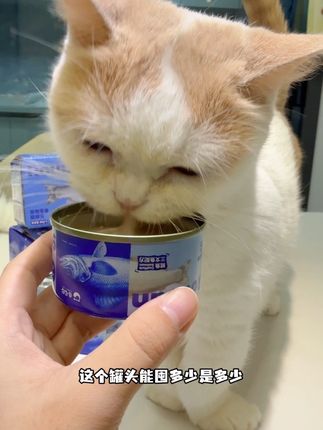 快快快!这个罐头一定要囤!大块肉肉加上浓郁的汤汁!#猫罐头 #无线回购的宝藏单品 #萌宠好物 #卷尾巴 #大口肉罐