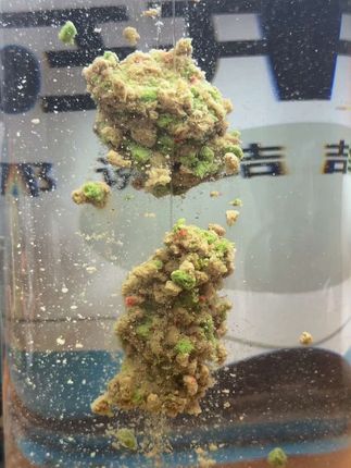 钓草鱼比玉米更好用的饵料,就是草鱼狂开口,五米之内的大鱼疯狂咬钩,根本拒绝不了这个味,轻松就能让你爆护一整天#垂钓 #户外钓鱼 #钓草鱼#草鱼饵料 #大草鱼