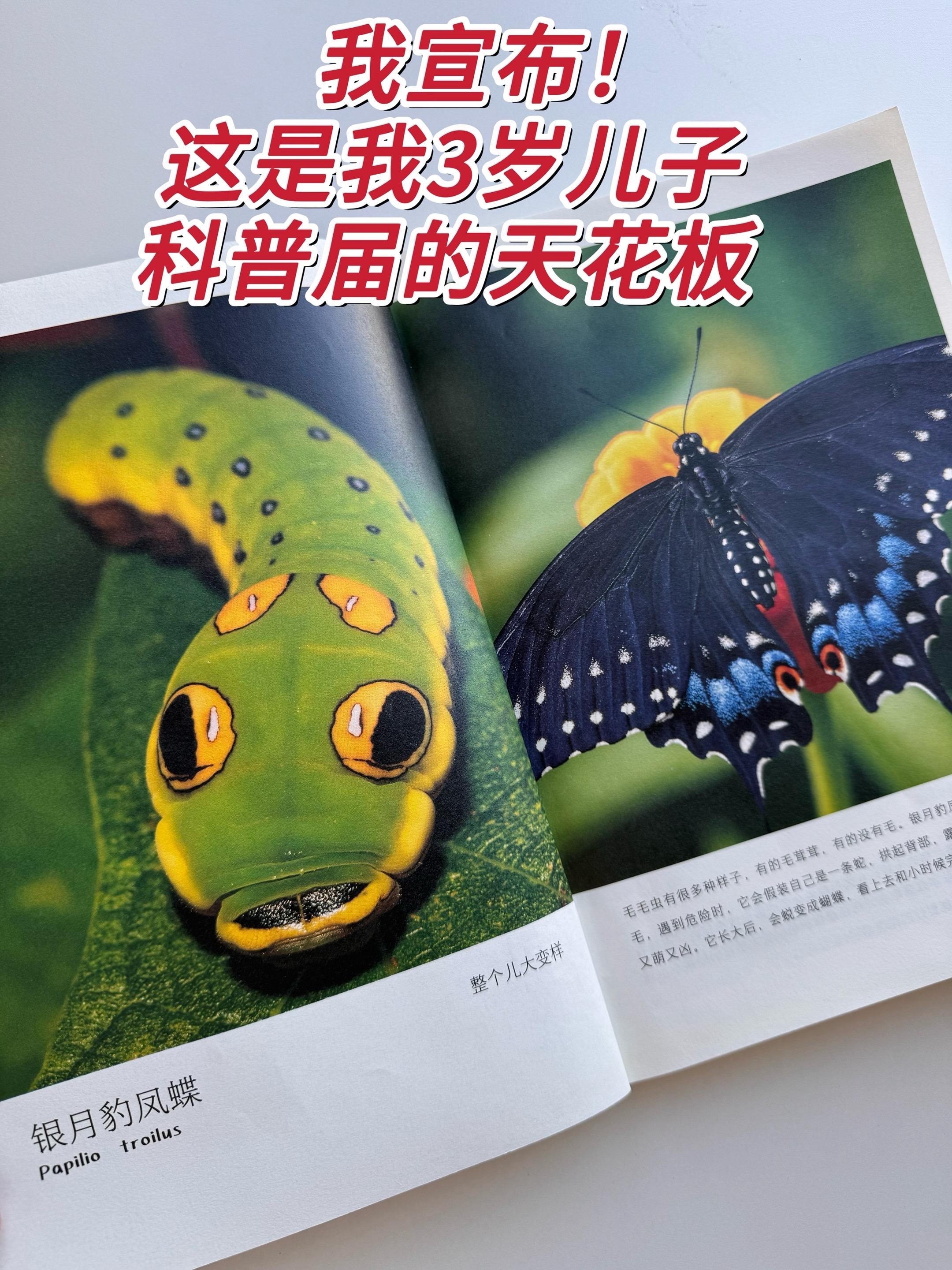 3岁就可以看的科普书!全部高清实拍大图 足足251页! 包含近200种常见的动植物 孩子翻开就停不下来翻开就像看纪录片一样! 整整251页!可以说是把动物园、海洋馆和植物园搬回了家中,还顺便请了一个金牌讲解员!  足不出门让孩子开阔视野,长见识! 好的科普书,真的能极大激发孩子的好奇心和求知欲!让孩子受益一生!#童书推荐 #科普 #儿童绘本