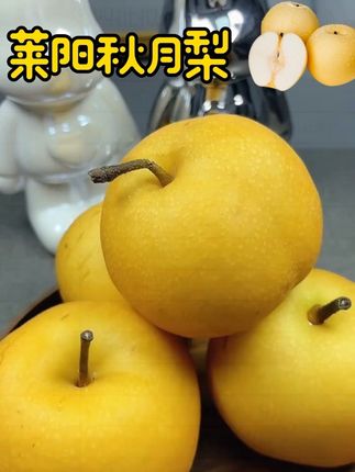来自秋天的限定,谁懂饱着一大个秋月梨吃的满足感啊!!就像空口喝梨汁一样!!每年我家都不知道要吃掉多少箱,一口下去,脆甜爆汁,果肉细腻无渣,真的太好吃了!每一个都比我拳头还大,皮薄肉厚核还小,咬上一口就像喝了一杯冰糖雪梨一样,清润甘甜,全家都爱吃,就这品质自己吃送人都非常合适😋😋#新鲜采摘 #超好吃 #每天跟我涨知识 #健康与养生 #每日分享