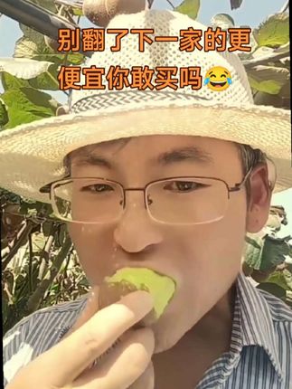 9.9的猕猴桃你敢买吗😁#翠香猕猴桃#应季水果 #自家果园