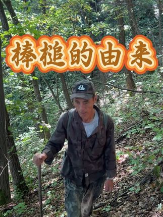 看到人参为什么要喊棒槌?这个视频告诉你!#野山参#大自然的馈赠