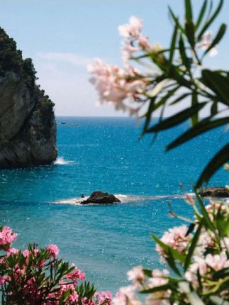 #张予曦毕雯珺真拍了红裙抱 #深情眼 #张予曦 #毕雯珺