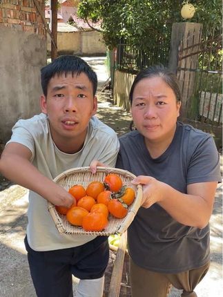 #糖心柿饼软糯香甜 #柿子熟了 #柿子 #现摘现发新鲜到家