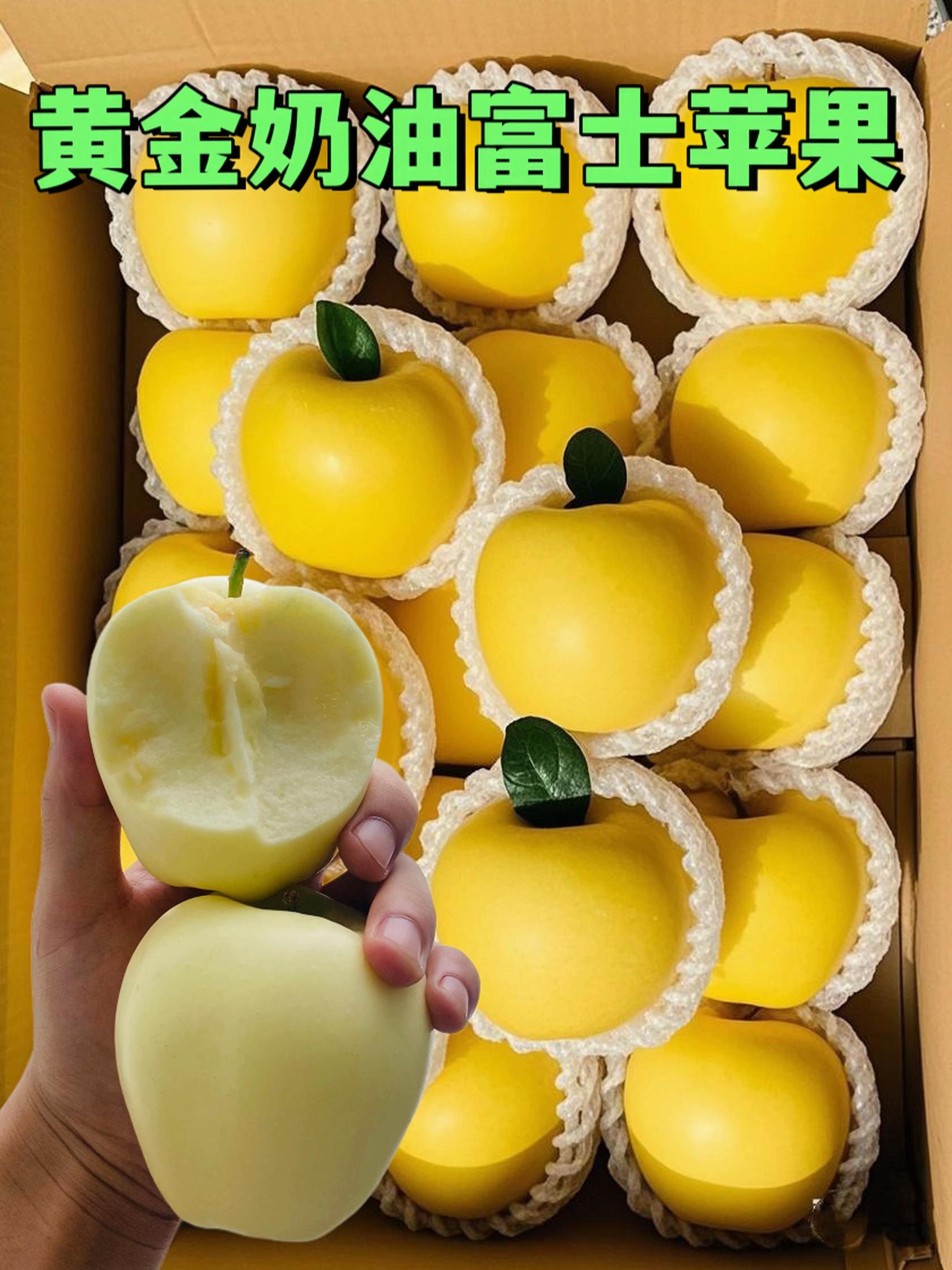 山东朋友推荐的,这个奶油苹果真的太好吃了好脆甜,黄金奶油富士苹果!金黄透亮的颜值和扑鼻的果香,一口咬下去惊艳到我了,怎么可以这么脆甜呀,而且脆不硬,一口一口的根本停不下来,香香甜甜的都爱吃!#黄金奶油富士苹果 #新鲜应季水果#苹果原来还能这么吃#应季水果 #奶油苹果