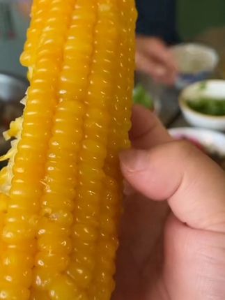 吉林四平玉米黄糯玉米250克*10根整箱#好物推荐🔥 #粗粮玉米