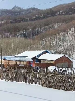 东北农村,山里人家!#农村雪景 #乡愁记忆#远离城市的喧嚣#故乡的原风景 #东北的冬天