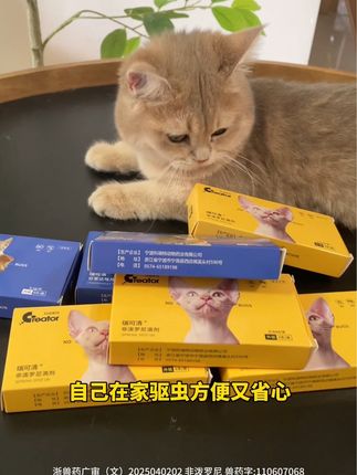 现在这个季节,各种虫子巨多,家里有猫猫狗狗的赶紧安排上#新手养猫 #萌宠好物 #养猫好物
