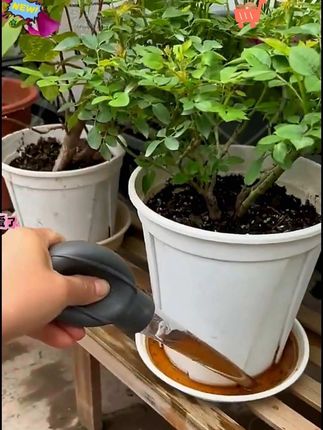 花盆托盘吸水器底座积水处理神器大吸管便携抽换水大滴管园艺工具#花盆托盘吸水器 #吸水神器 #园艺用品 #花盆吸水器 #园艺工具