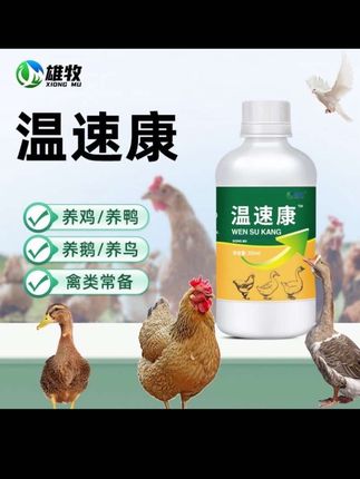 喂鸡时加上它,轻松过四季#科学养鸡 #养鸡技术