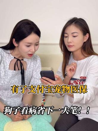 有了支付宝宠物医保,狗子看病省下一大笔 #支付宝宠物医保 #支付宝宠物保险 #支付宝保险 #宠物医保#宠物看病