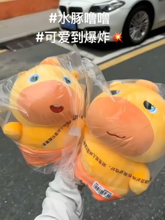 好朋友 你刷到这个噜噜床搭子也会送我的 对吧!#水豚噜噜 #抱枕 #床搭子 #噜噜 #毛绒玩具