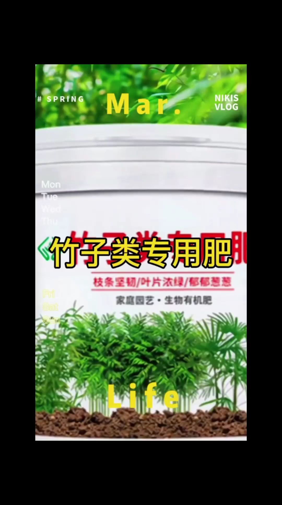 竹子类专用肥料 ,观音竹米竹小叶勒竹肥料,促进竹子生长#竹子盆栽养殖方法 #竹子肥料 #竹子养护 #竹子盆景 #竹子类专用肥