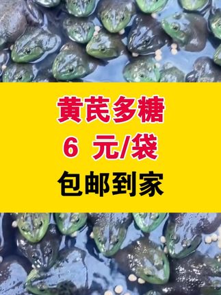 黄芪多糖是个宝,养蛙少不了##牛蛙养殖 #黑斑蛙养殖 #石蛙 #蟾蜍 #林蛙 泰蛙
