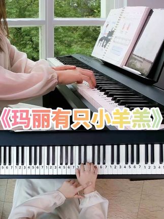 小汤一练习曲《玛丽有只小羊羔》#小汤1 #钢琴 #钢琴教学 #成人自学钢琴 #玛丽有只小羊羔