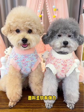天冷了,软乎乎的毛衣给宝贝们穿上,柔软舒适可爱漂亮#萌宠 #狗狗好物推荐 #狗狗用品 #宠物衣服