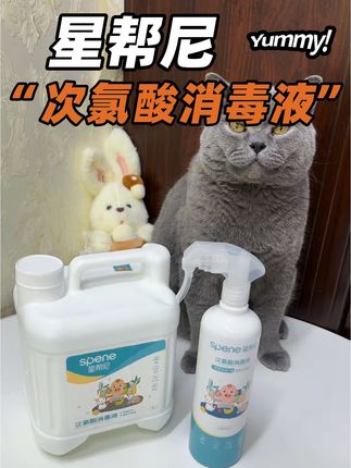 多猫家庭猫藓血泪史!幸亏入手了星帮尼宠物次氯酸消毒液,省心省力还省钱!#星帮尼宠物消毒液#次氯酸#星帮尼#萌宠好物#新手养猫