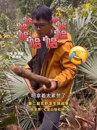 熊二归途韦山快来捡呀😁#荒野建哥#荒野归途#荒野韦山#张家界七星山骆驼杯 #老六荒野