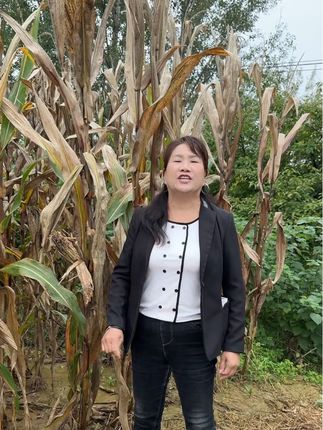 脚裂脚干脚起皮,你就用这个,大人孩子都管用,左下方小黄车里有,拍回去用三到五天,好用留下,不好用退回,都安排有运费险,放心拍吧