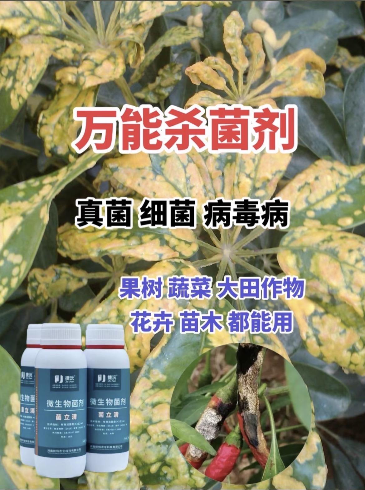 万能杀菌剂。#菌立清#杀菌剂#病虫害防治 #蔬菜种植#真菌细菌病毒全杀