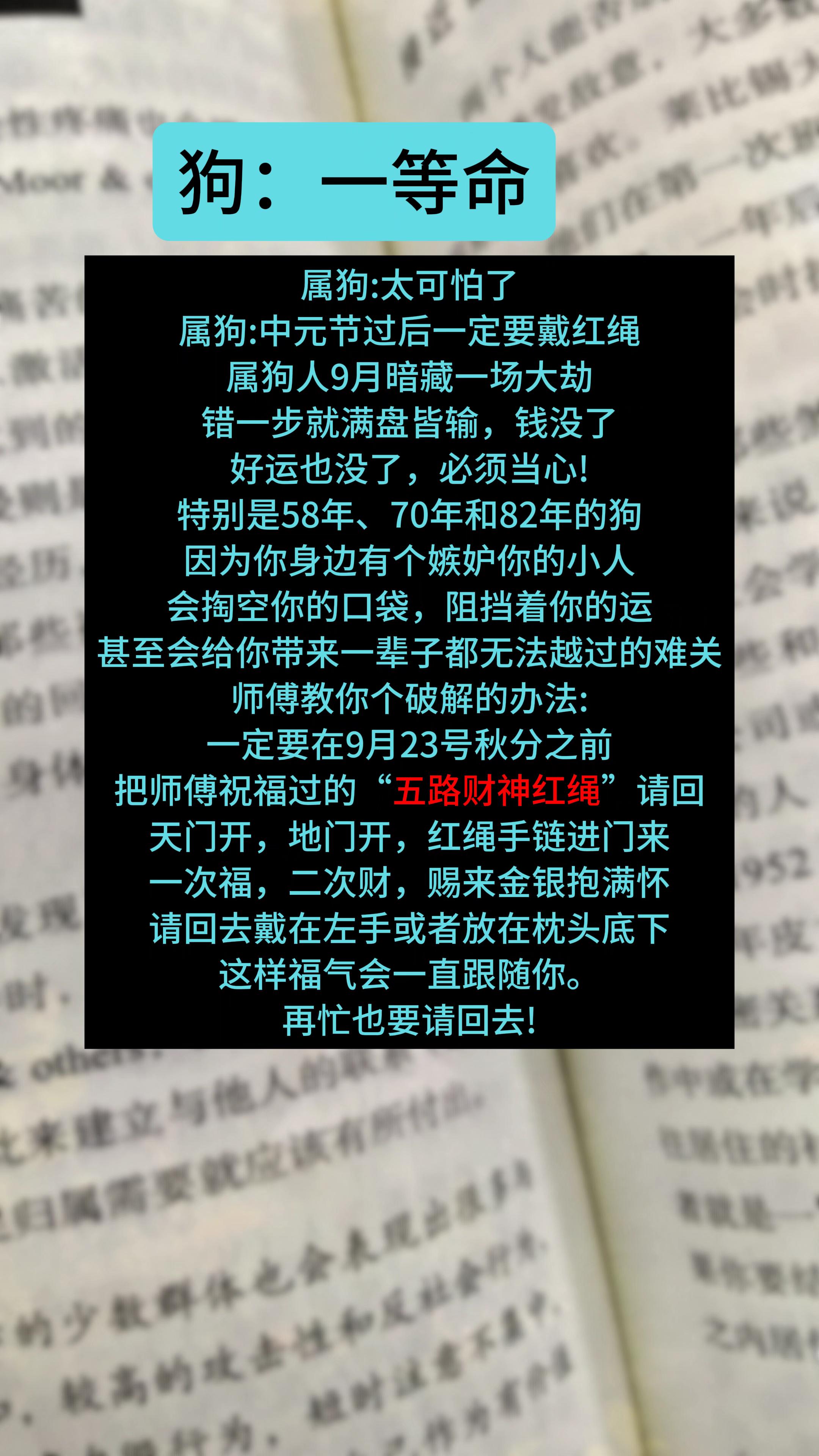 #1958年的狗 #1970年的狗 #1982年的狗 #82年的狗 #70年的狗