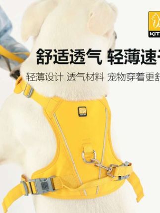 KiTi GO 狗狗牵引绳宠物胸背带 遛狗牵引绳夏季新款防爆冲胸背#宠物牵引绳 #狗狗牵引绳 #狗狗胸背带牵引绳 #狗狗胸背带 #狗狗防爆冲胸背带