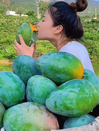 #广西青皮金煌芒#软糯香甜 #大人孩子都爱吃 #新鲜应季水果 #快来一起尝个鲜