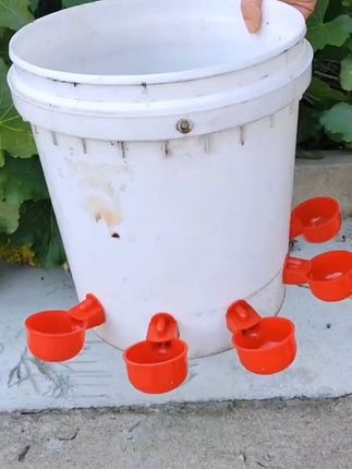 养鸡自动饮水器,鸡鸭鹌鹑家禽,小鸡喂鸡食槽#鸡鸭鹅养殖 #自动饮水器 #家禽自动喂食器