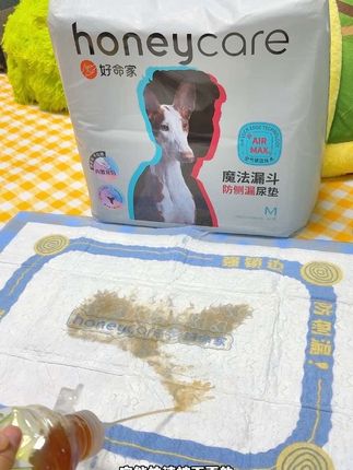 这么好用的尿垫 赶紧把家里尿一泡就漏的全扔掉!#宠物用品 #尿垫 #瞬吸干爽 #honeycare好命家
