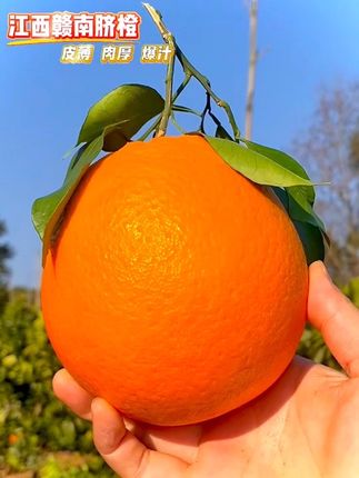 我又回购了这个赣南脐橙,真是太惊艳了!!果园现摘现发新鲜到家,香甜多汁,皮薄肉厚,肉质鲜嫩汁水丰富,橙香浓郁,一口下去超满足!喜欢吃橙子的家人千万不要错过#赣南脐橙#口感特别好 #新鲜应季水果 #橙子 #优质农产品